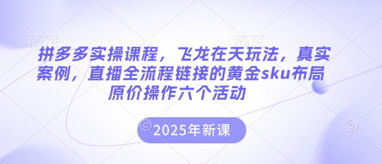 拼多多实操课程，飞龙在天玩法，真实案例，直播全流程链接的黄金sku布局原价操作六个活动-科联星创