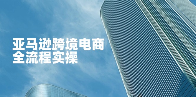 （14252期）亚马逊跨境电商全流程实操，教你从零开始，掌握店铺运营与广告技巧-科联星创