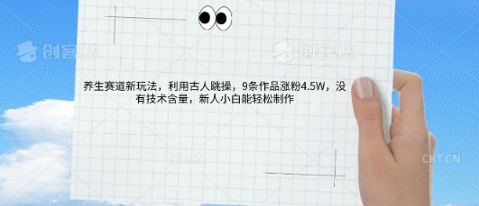 AI养生赛道新玩法，10条作品涨粉5.2W，操作简单，新人小白能轻松制作-科联星创