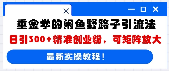 重金学的闲鱼野路子引流法，日引300+精准创业粉，可矩阵放大-科联星创