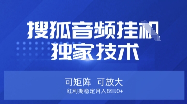 【搜狐音频挂G】独家技术，可矩阵可放大，红利期稳定月入8k【揭秘】-科联星创