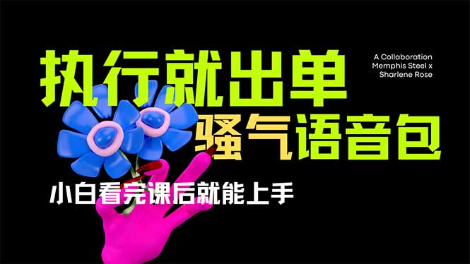 （14170期）爆火全网的开车导航骚气语音包,只要执行就出单，小白看完课程就能实操...-科联星创