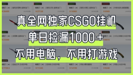 真全网独家CSGO挂G，单日捡漏1k+【揭秘】-科联星创