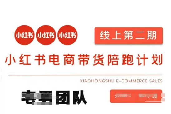 小红书电商带货课2期,月利润20个的小红书电商的有货源,无货源,虚拟产品,付费投流等整套玩法-科联星创